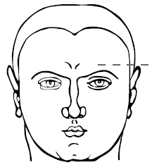 Иллюстрация к книге — Хиромантия и нумерология. Секретные знания. Практическое руководство [i_477.jpg]