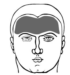 Иллюстрация к книге — Хиромантия и нумерология. Секретные знания. Практическое руководство [i_509.jpg]