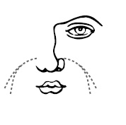 Иллюстрация к книге — Хиромантия и нумерология. Секретные знания. Практическое руководство [i_513.jpg]