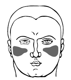 Иллюстрация к книге — Хиромантия и нумерология. Секретные знания. Практическое руководство [i_522.jpg]