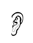 Иллюстрация к книге — Хиромантия и нумерология. Секретные знания. Практическое руководство [i_525.jpg]