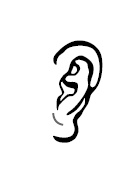 Иллюстрация к книге — Хиромантия и нумерология. Секретные знания. Практическое руководство [i_527.jpg]