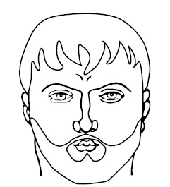 Иллюстрация к книге — Хиромантия и нумерология. Секретные знания. Практическое руководство [i_533.jpg]