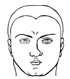 Иллюстрация к книге — Хиромантия и нумерология. Секретные знания. Практическое руководство [i_543.jpg]