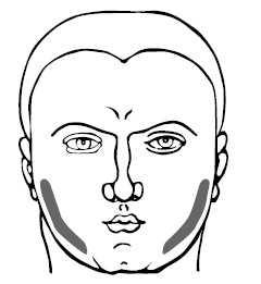 Иллюстрация к книге — Хиромантия и нумерология. Секретные знания. Практическое руководство [i_546.jpg]