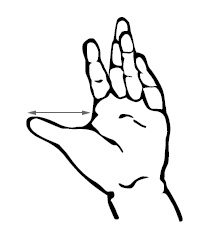 Иллюстрация к книге — Хиромантия и нумерология. Секретные знания. Практическое руководство [i_552.jpg]