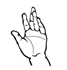 Иллюстрация к книге — Хиромантия и нумерология. Секретные знания. Практическое руководство [i_553.jpg]