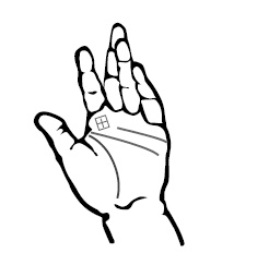 Иллюстрация к книге — Хиромантия и нумерология. Секретные знания. Практическое руководство [i_554.jpg]