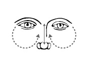 Иллюстрация к книге — Хиромантия и нумерология. Секретные знания. Практическое руководство [i_586.jpg]