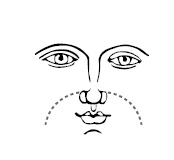 Иллюстрация к книге — Хиромантия и нумерология. Секретные знания. Практическое руководство [i_627.jpg]