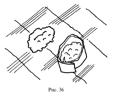 Иллюстрация к книге — Суши, роллы и японские блюда [i_038.jpg]