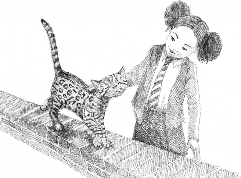 Иллюстрация к книге — Котенок Милли, или С возвращением, леопард! [i_003.jpg]
