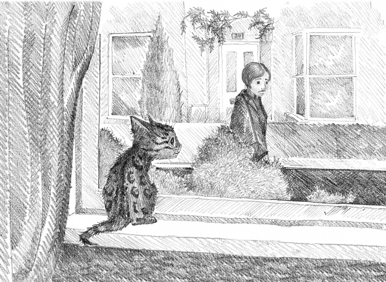 Иллюстрация к книге — Котенок Милли, или С возвращением, леопард! [i_015.jpg]