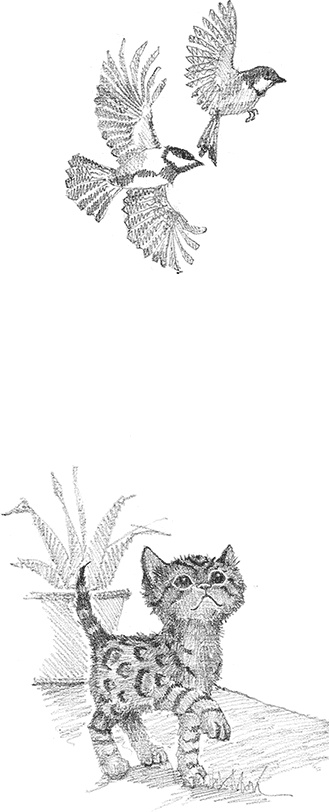 Иллюстрация к книге — Котенок Милли, или С возвращением, леопард! [i_016.jpg]