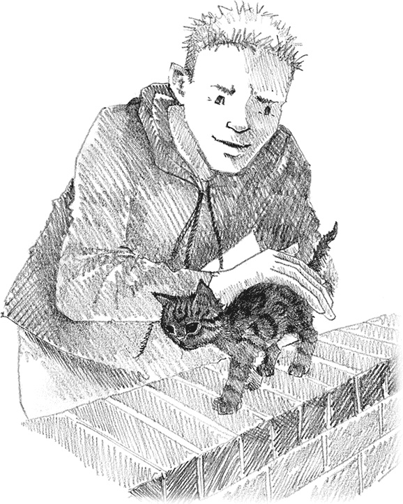 Иллюстрация к книге — Котенок Милли, или С возвращением, леопард! [i_017.jpg]