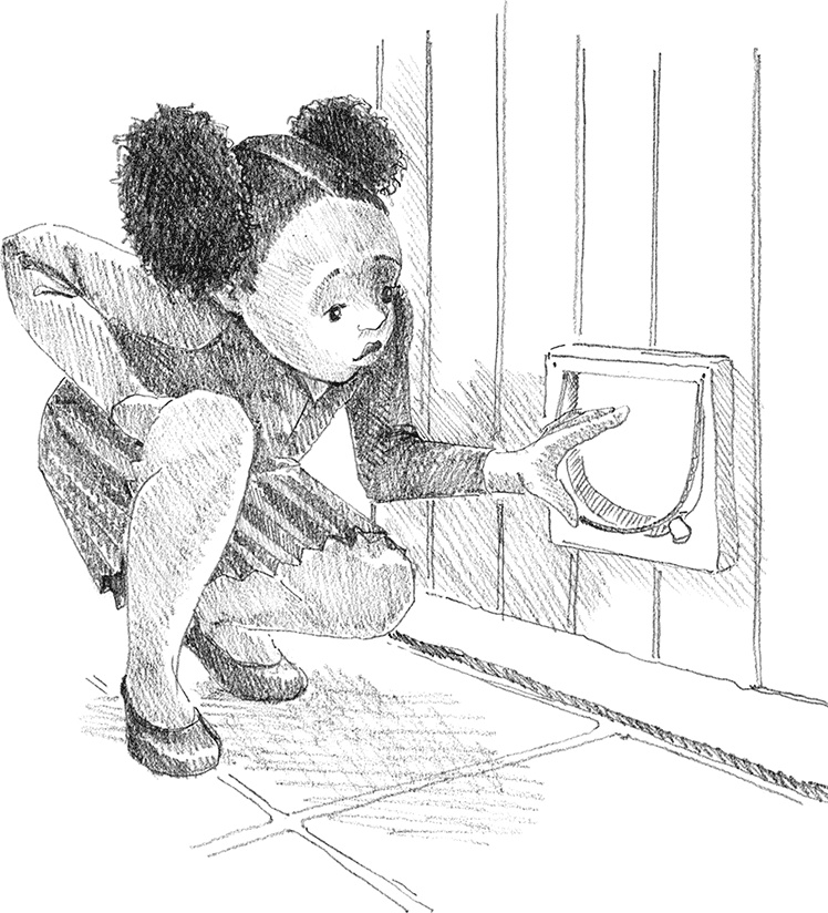 Иллюстрация к книге — Котенок Милли, или С возвращением, леопард! [i_018.jpg]