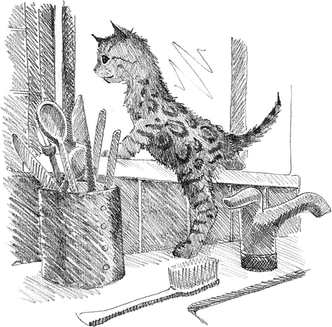 Иллюстрация к книге — Котенок Милли, или С возвращением, леопард! [i_026.jpg]