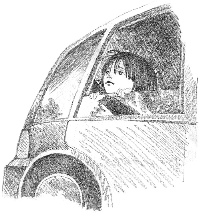 Иллюстрация к книге — Котенок Фиалка, или Коробка с сюрпризом [i_002.jpg]