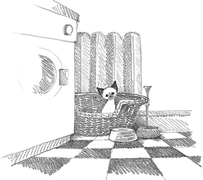 Иллюстрация к книге — Котенок Фиалка, или Коробка с сюрпризом [i_006.jpg]