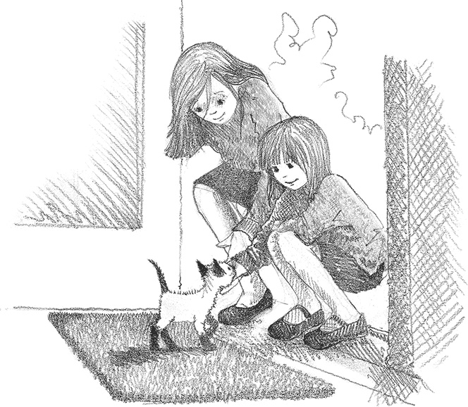 Иллюстрация к книге — Котенок Фиалка, или Коробка с сюрпризом [i_019.jpg]