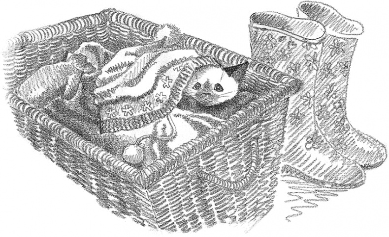 Иллюстрация к книге — Котенок Фиалка, или Коробка с сюрпризом [i_025.jpg]