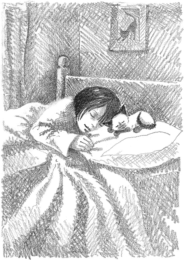 Иллюстрация к книге — Котенок Фиалка, или Коробка с сюрпризом [i_027.jpg]