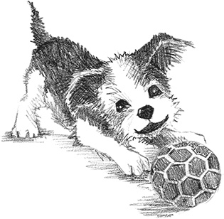 Иллюстрация к книге — Щенок Крошка, или Друзья навек [i_001.jpg]