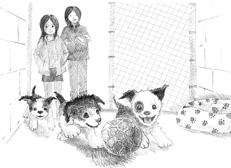 Иллюстрация к книге — Щенок Крошка, или Друзья навек [i_015.jpg]