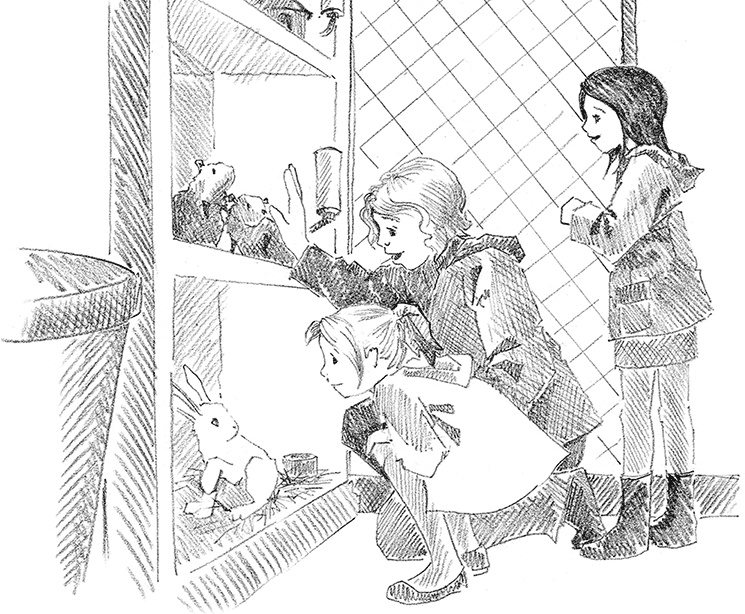 Иллюстрация к книге — Щенок Крошка, или Друзья навек [i_020.jpg]