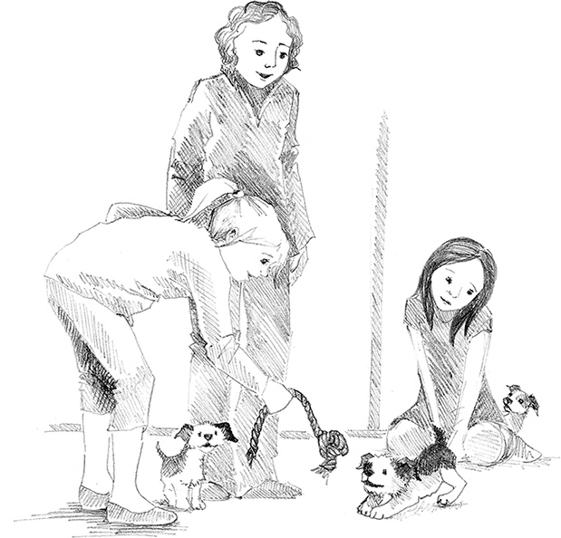 Иллюстрация к книге — Щенок Крошка, или Друзья навек [i_022.jpg]