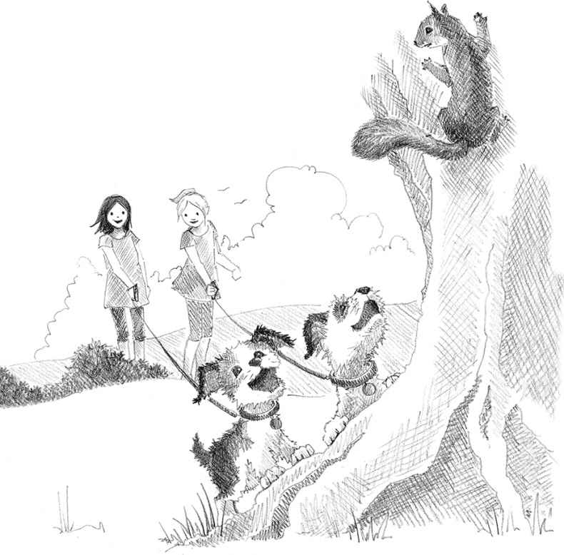 Иллюстрация к книге — Щенок Крошка, или Друзья навек [i_038.jpg]