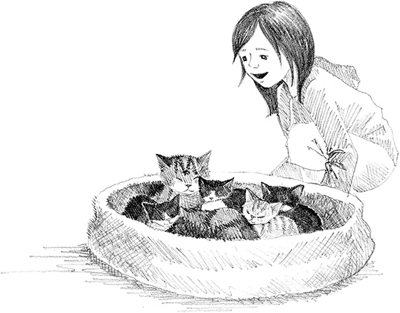 Иллюстрация к книге — Котенок пират, или Ловкий коготь [i_006.jpg]