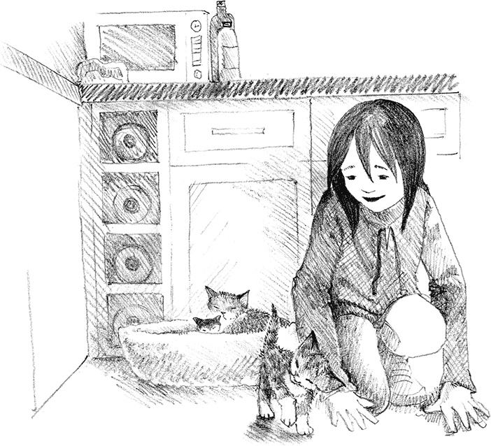 Иллюстрация к книге — Котенок пират, или Ловкий коготь [i_007.jpg]