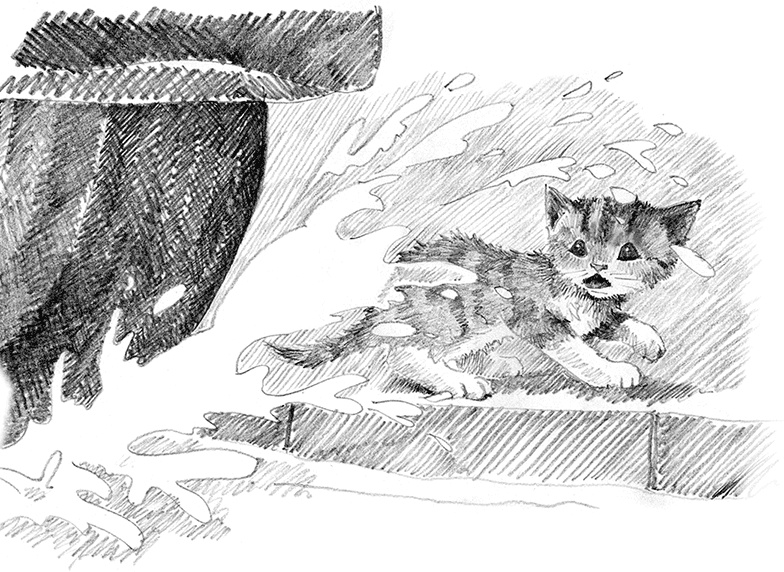 Иллюстрация к книге — Котенок пират, или Ловкий коготь [i_025.jpg]