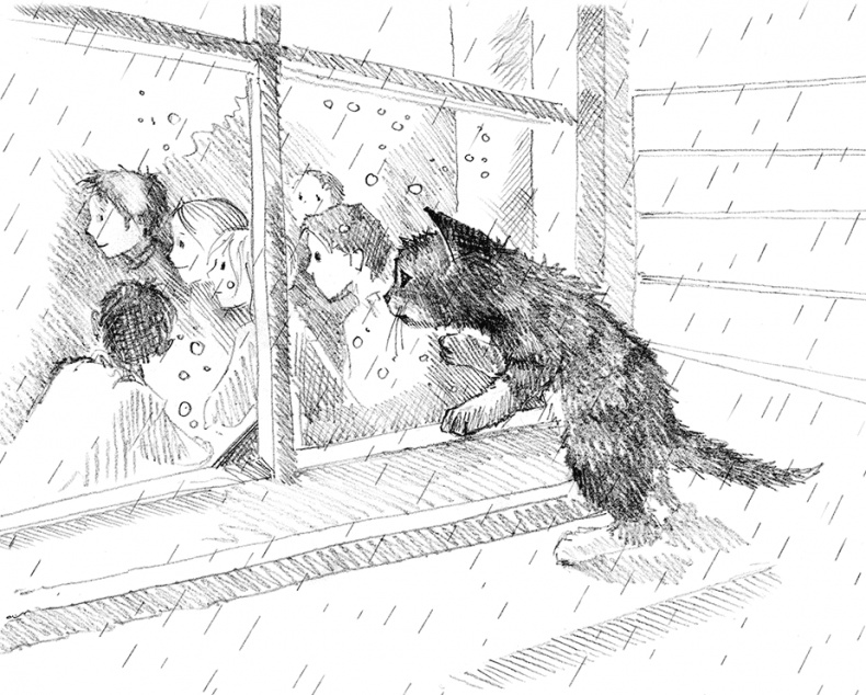 Иллюстрация к книге — Котенок пират, или Ловкий коготь [i_026.jpg]