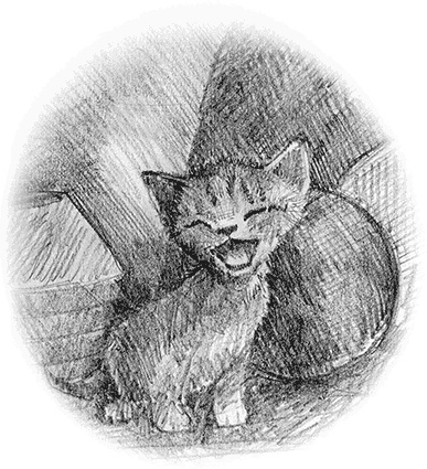 Иллюстрация к книге — Котенок пират, или Ловкий коготь [i_028.jpg]