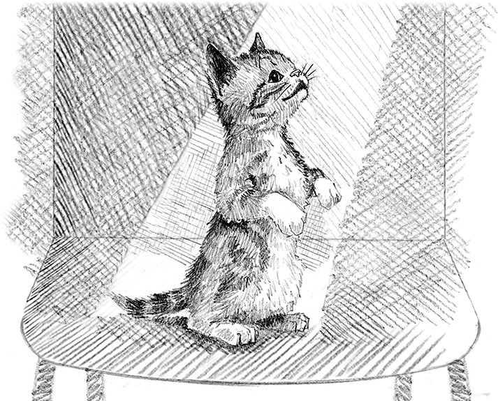 Иллюстрация к книге — Котенок пират, или Ловкий коготь [i_030.jpg]