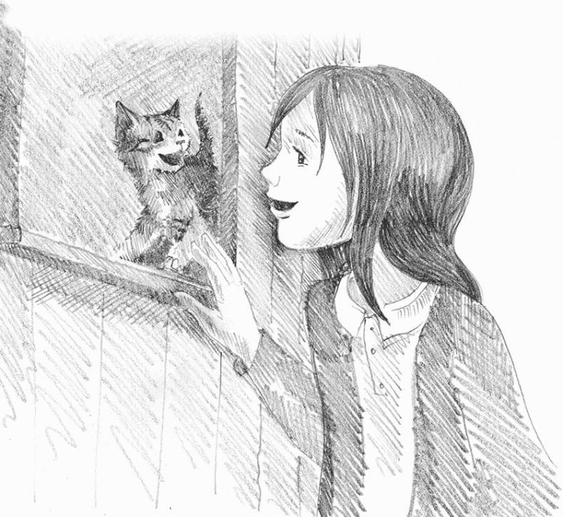 Иллюстрация к книге — Котенок пират, или Ловкий коготь [i_031.jpg]