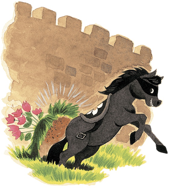 Иллюстрация к книге — Принцесса в черном [i_017.jpg]