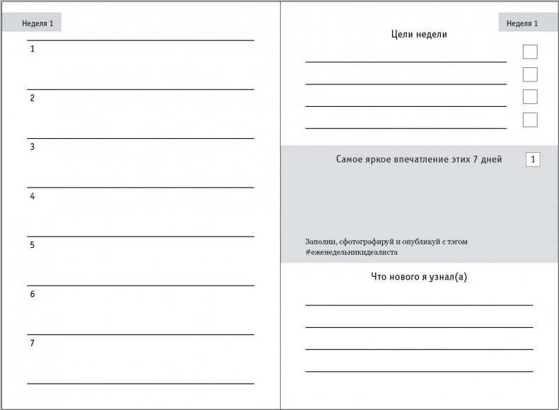 Иллюстрация к книге — Еженедельник идеалиста [i_001.jpg]