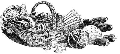 Иллюстрация к книге — Блюда нашего детства [Autogen_eBook_id2.jpg]