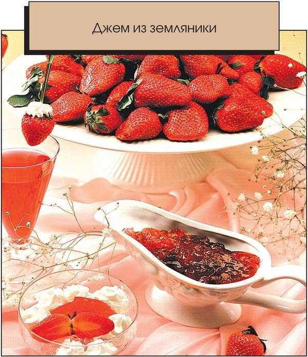 Иллюстрация к книге — Консервирование. Большая книга рецептов [i_024.jpg]