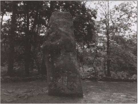 Иллюстрация к книге — Ужасы французской Бретани [image51.jpg]