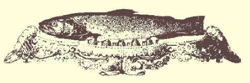 Иллюстрация к книге — Одесская кухня [_88.jpg]