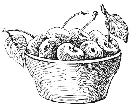 Иллюстрация к книге — Дачные рецепты [_2.jpg]