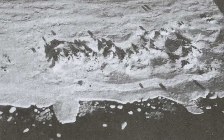 Иллюстрация к книге — Загадочная экспедиция. Что искали немцы в Антарктиде? [i_049.jpg]