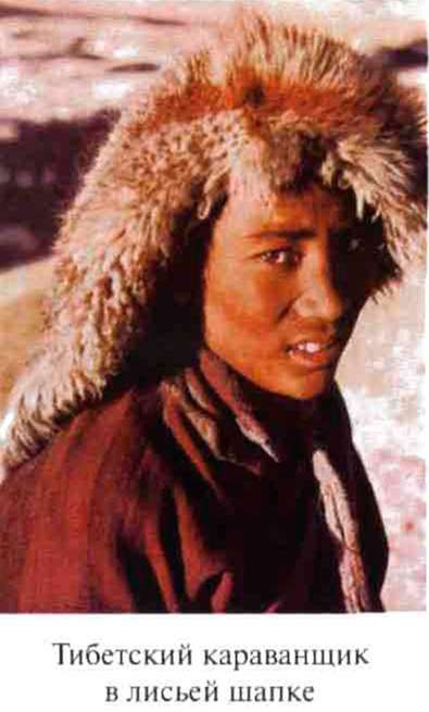 Иллюстрация к книге — Тибетская экспедиция СС. Правда о тайном немецком проекте [i_014.jpg]