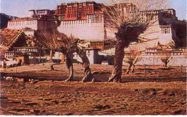 Иллюстрация к книге — Тибетская экспедиция СС. Правда о тайном немецком проекте [i_034.jpg]