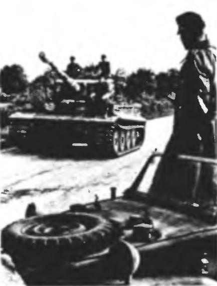 Иллюстрация к книге — Танковый ас №1 Михаэль Виттманн [img_100.jpg]