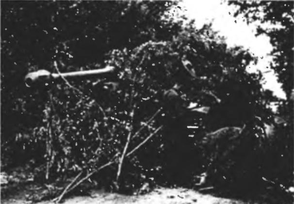 Иллюстрация к книге — Танковый ас №1 Михаэль Виттманн [img_112.jpg]